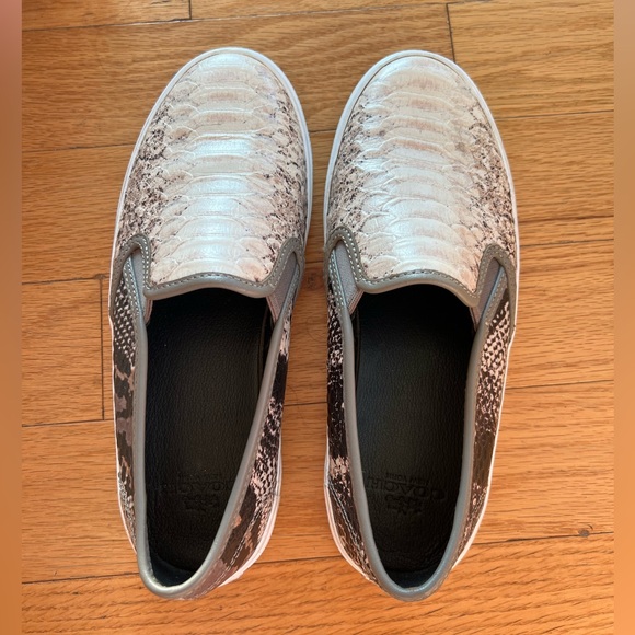 Coach Python Chrissy Sneaker - Picture 1 of 5